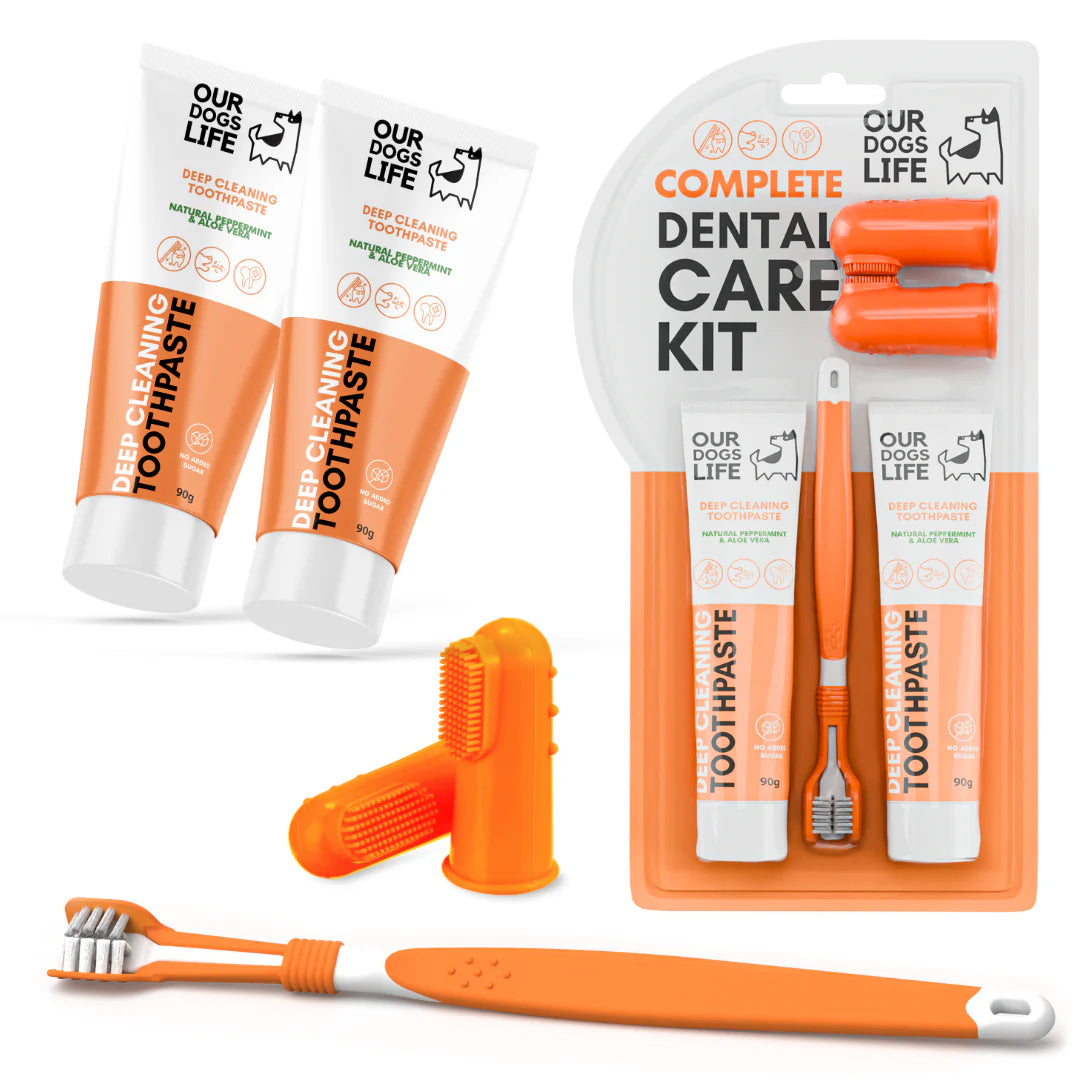 Dog Toothbrushes and Toothpaste