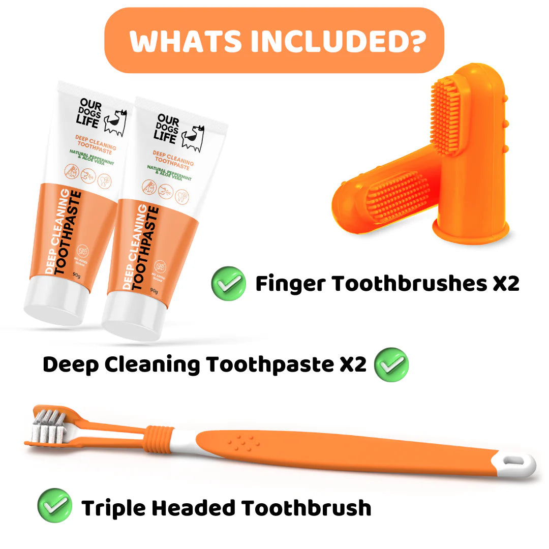 Dog Toothbrushes and Toothpaste