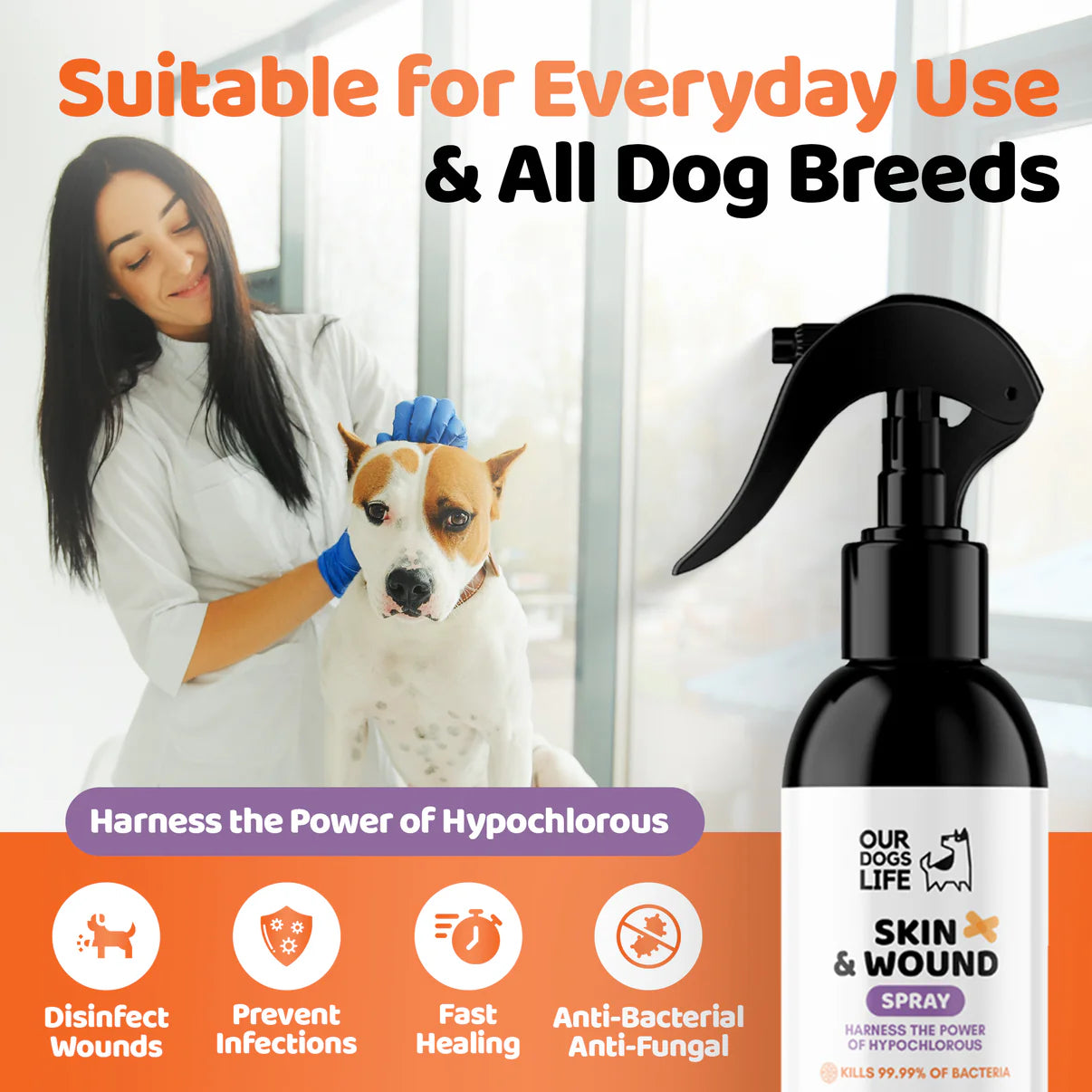 Dog Antiseptic Spray