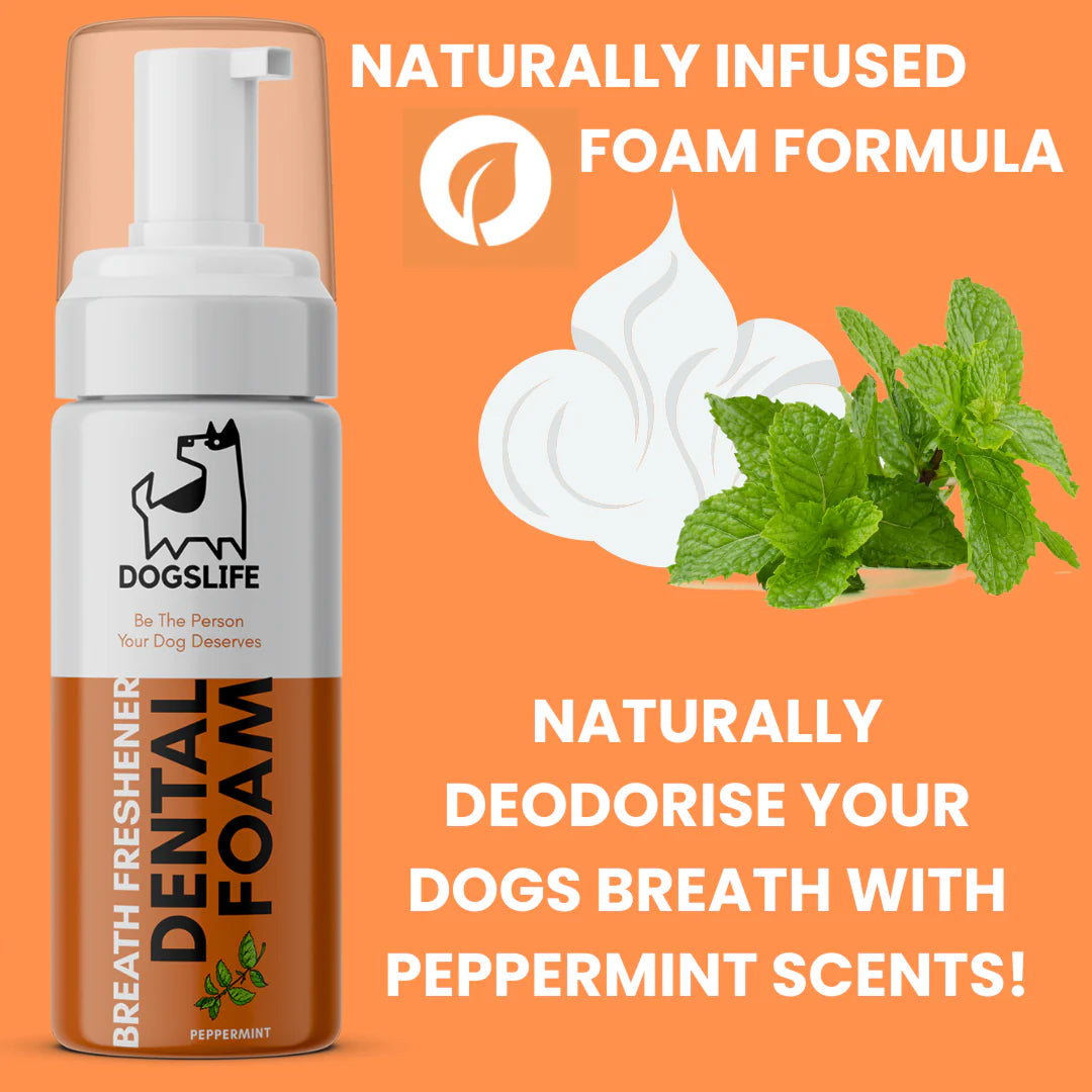 Dental Foam for Dogs