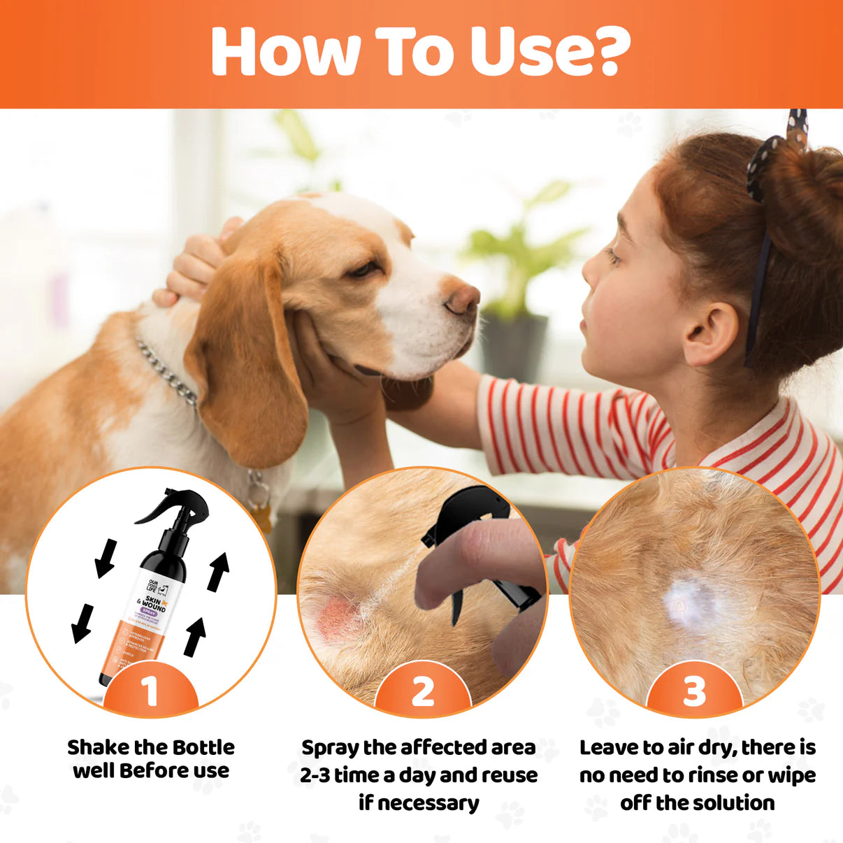 Dog Antiseptic Spray