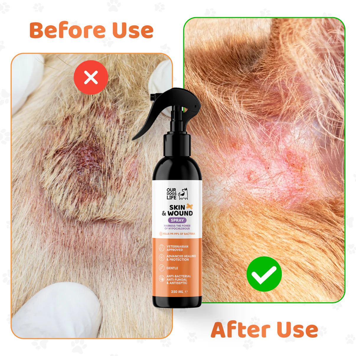 Dog Antiseptic Spray