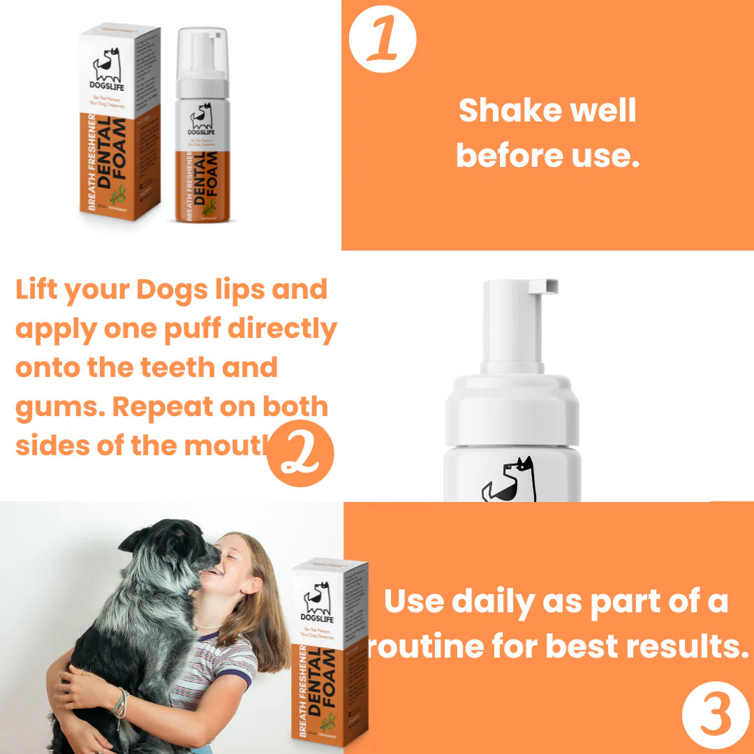 Dental Foam for Dogs