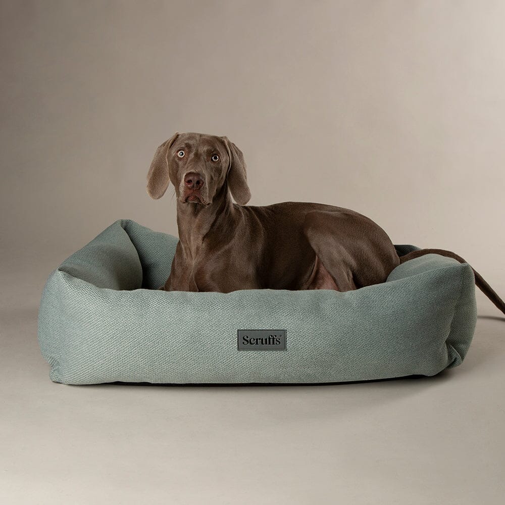 Scruffs Seattle Box Dog Bed - Siena Brown