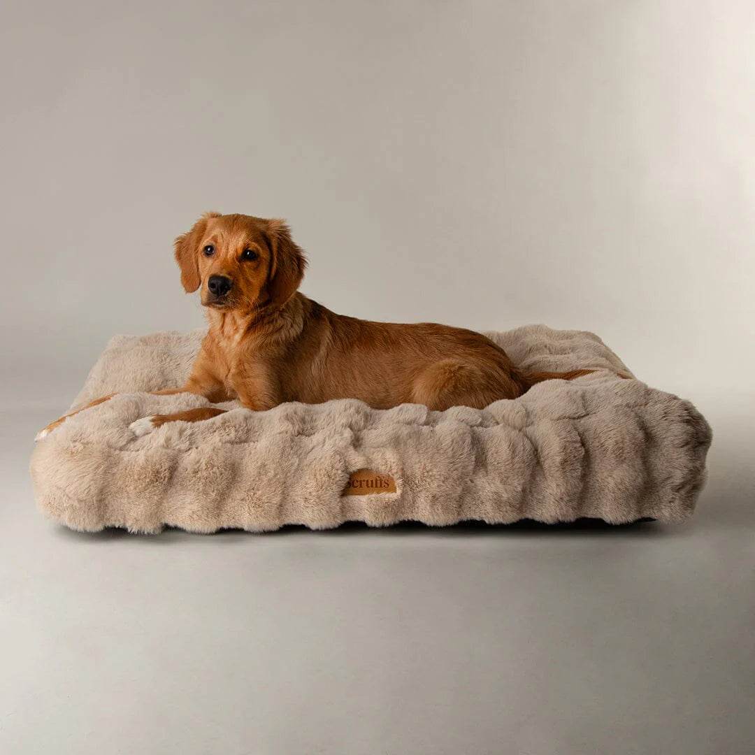 Alpine Mattress - Champagne