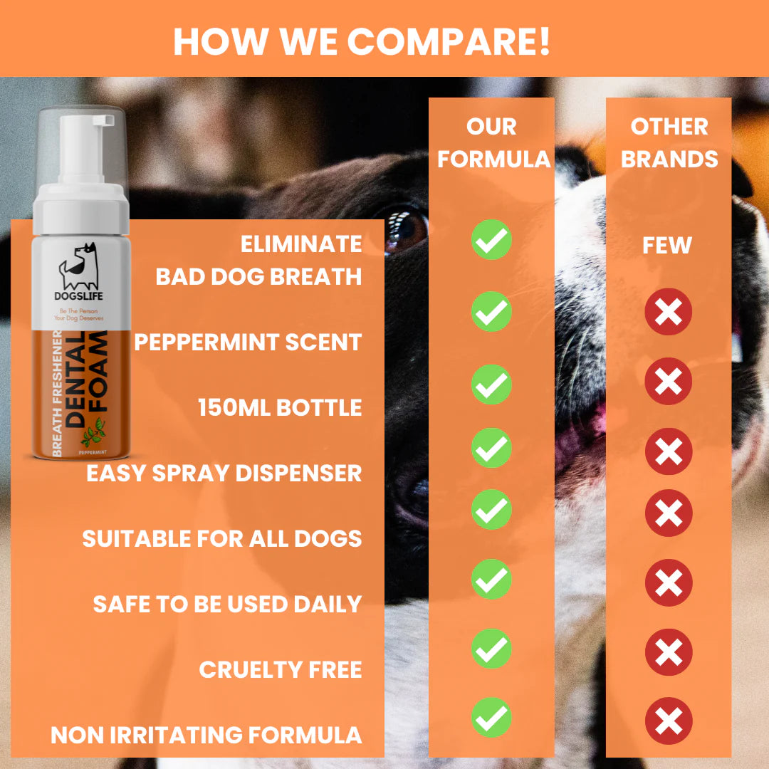 Dental Foam for Dogs