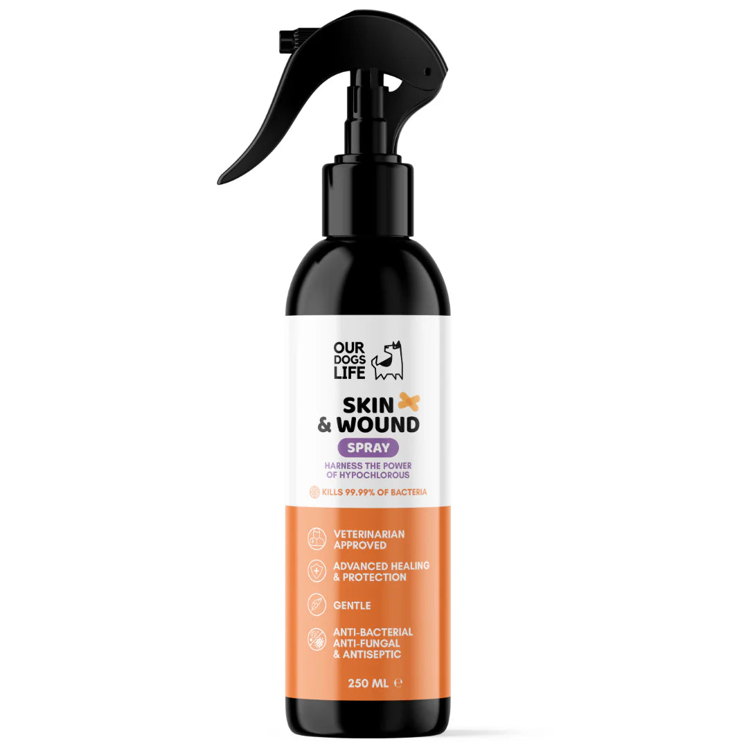 Dog Antiseptic Spray