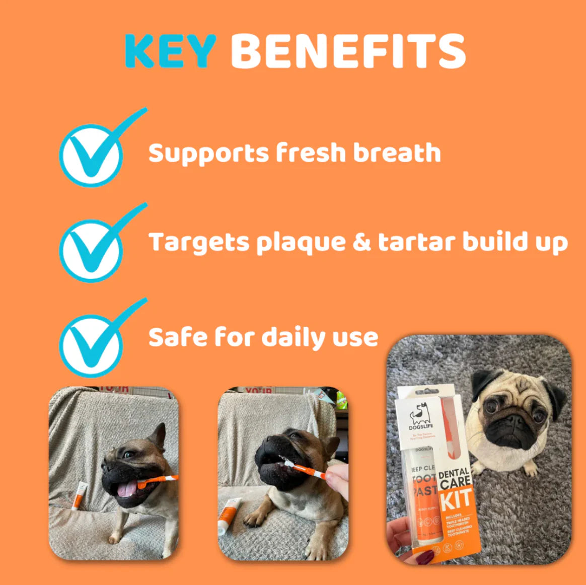 Dog Toothbrushes and Toothpaste