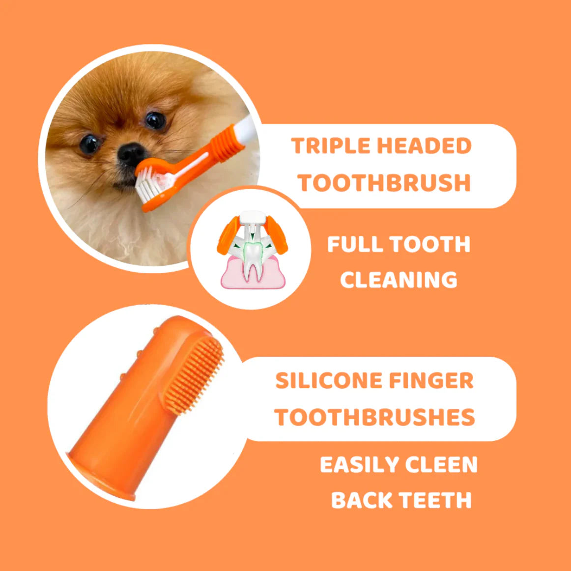 Dog Toothbrushes and Toothpaste