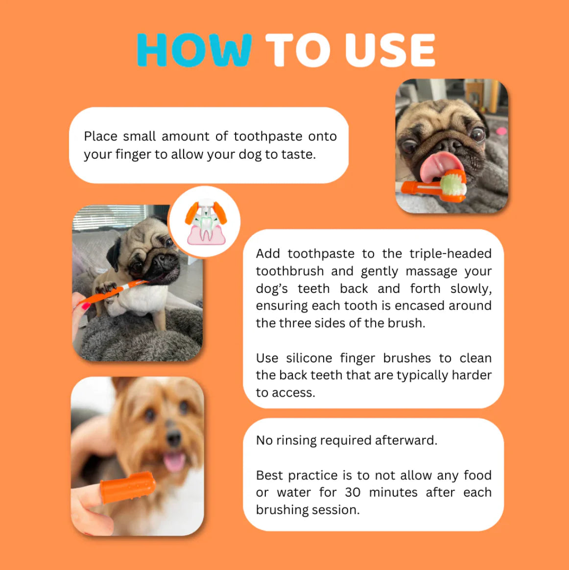 Dog Toothbrushes and Toothpaste