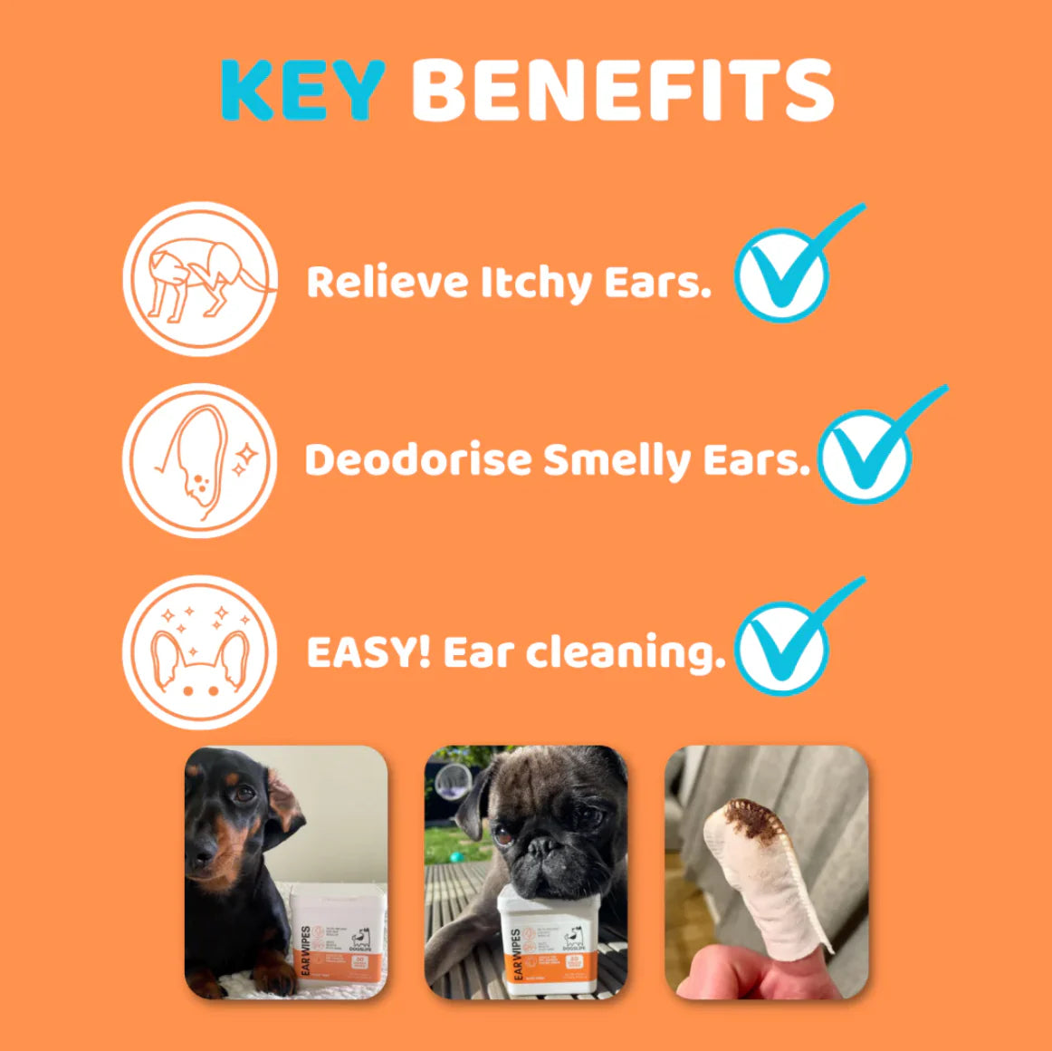 Dog Ear Wipes