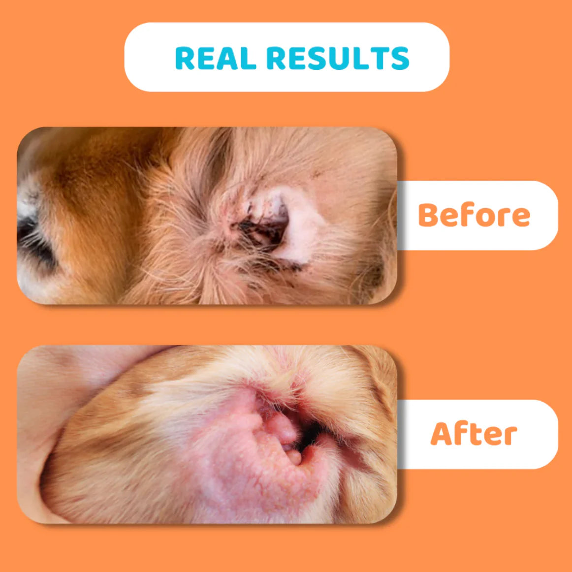 Dog Ear Wipes