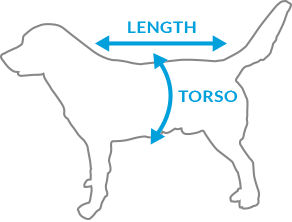Worcester Dog Coat Made In The UK