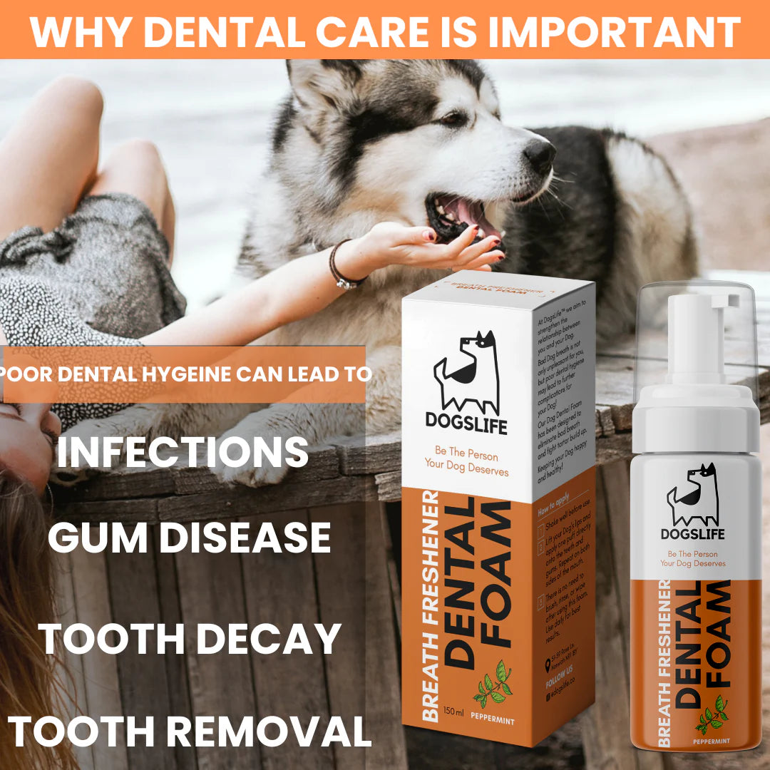 Dental Foam for Dogs