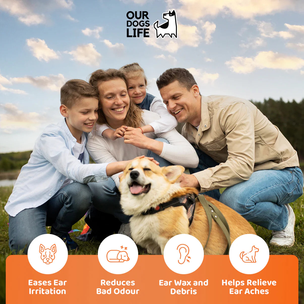 Dog Ear Infection Treatment Drops