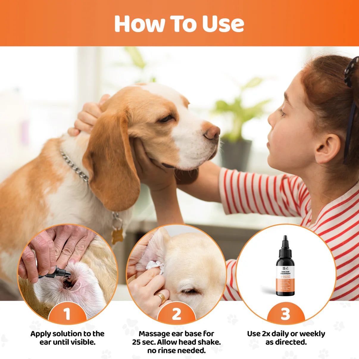 Dog Ear Infection Treatment Drops