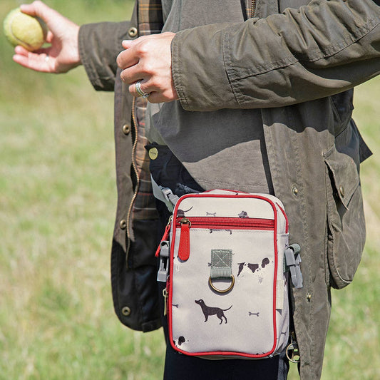 Woof Dog Walking Bag