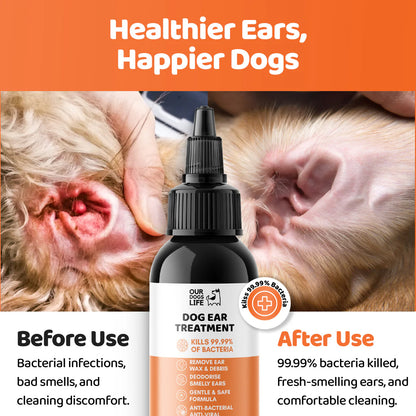 Dog Ear Infection Treatment Drops