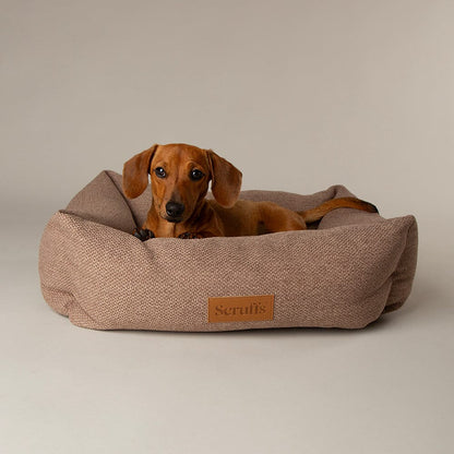 Scruffs Seattle Box Dog Bed - Siena Brown