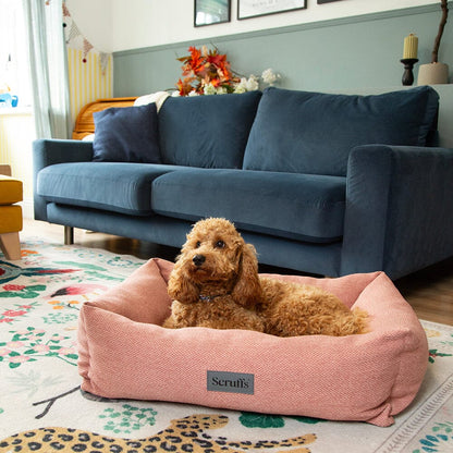 Scruffs Seattle Box Dog Bed - Siena Brown