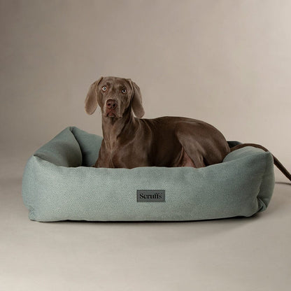 Scruffs Seattle Box Dog Bed - Siena Brown