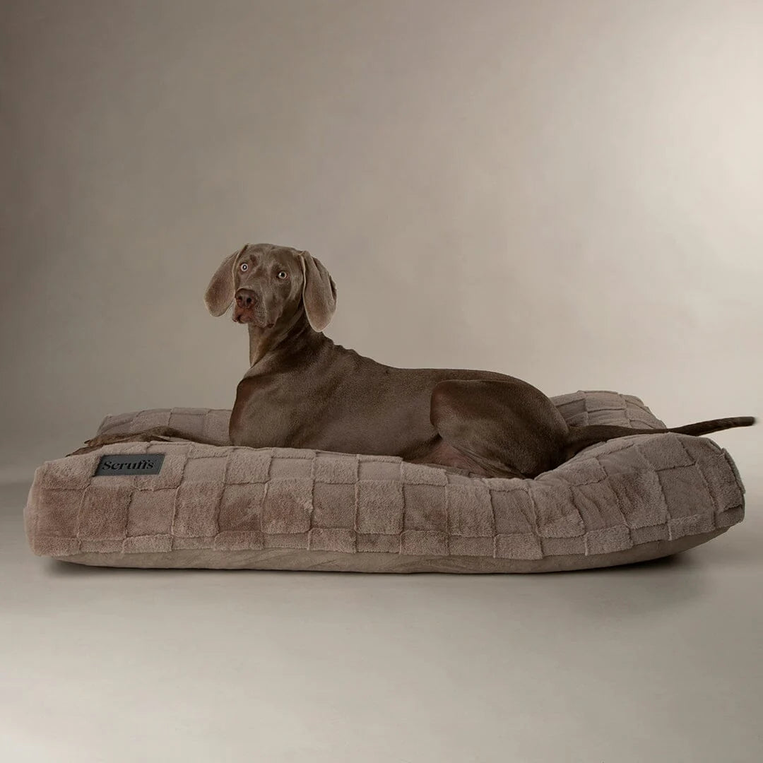 Oxford Dog Orthopaedic Mattress - Light Brown