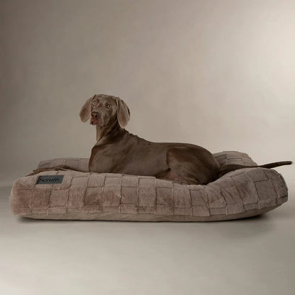 Oxford Dog Orthopaedic Mattress - Light Brown