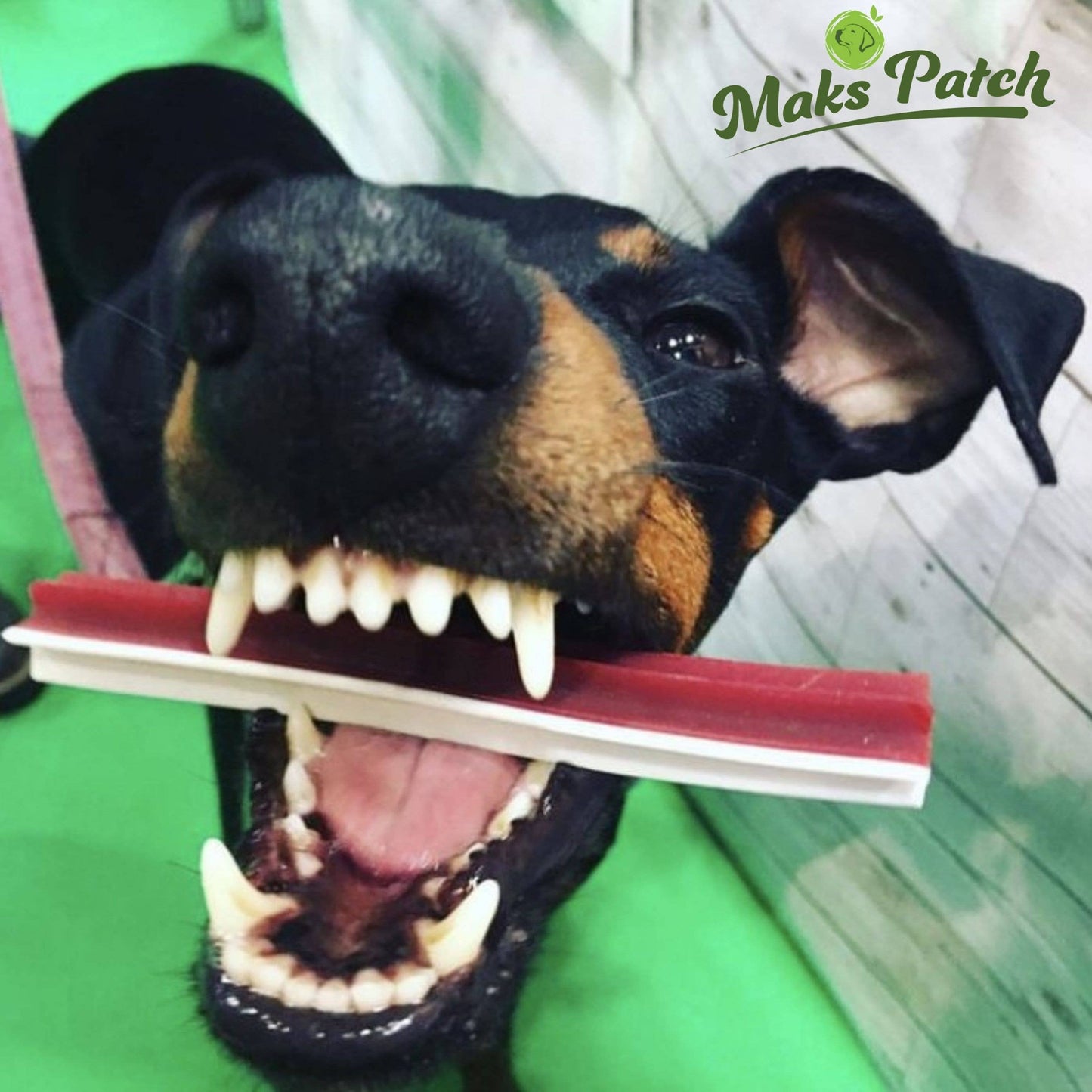 MaksPatch Vegan Dog Treats Star Sticks 2 sizes
