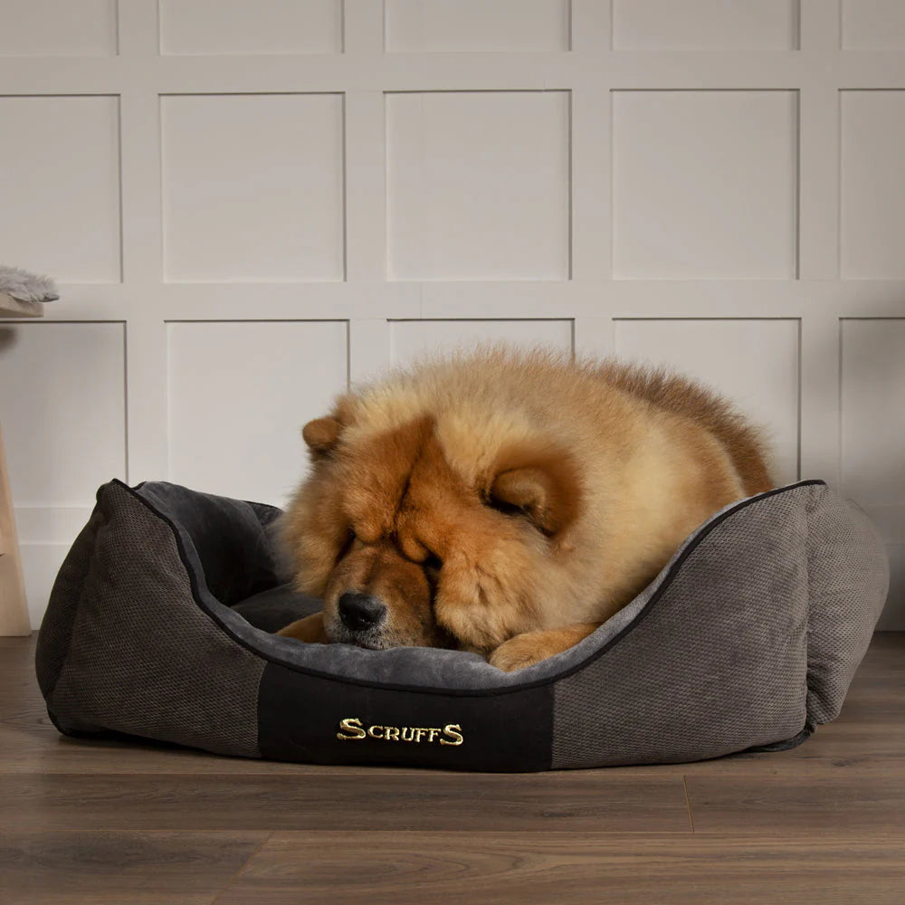 Luxury Chester Box Dog Bed by Scruffs - Graphite Grey Or Chocolate Brown