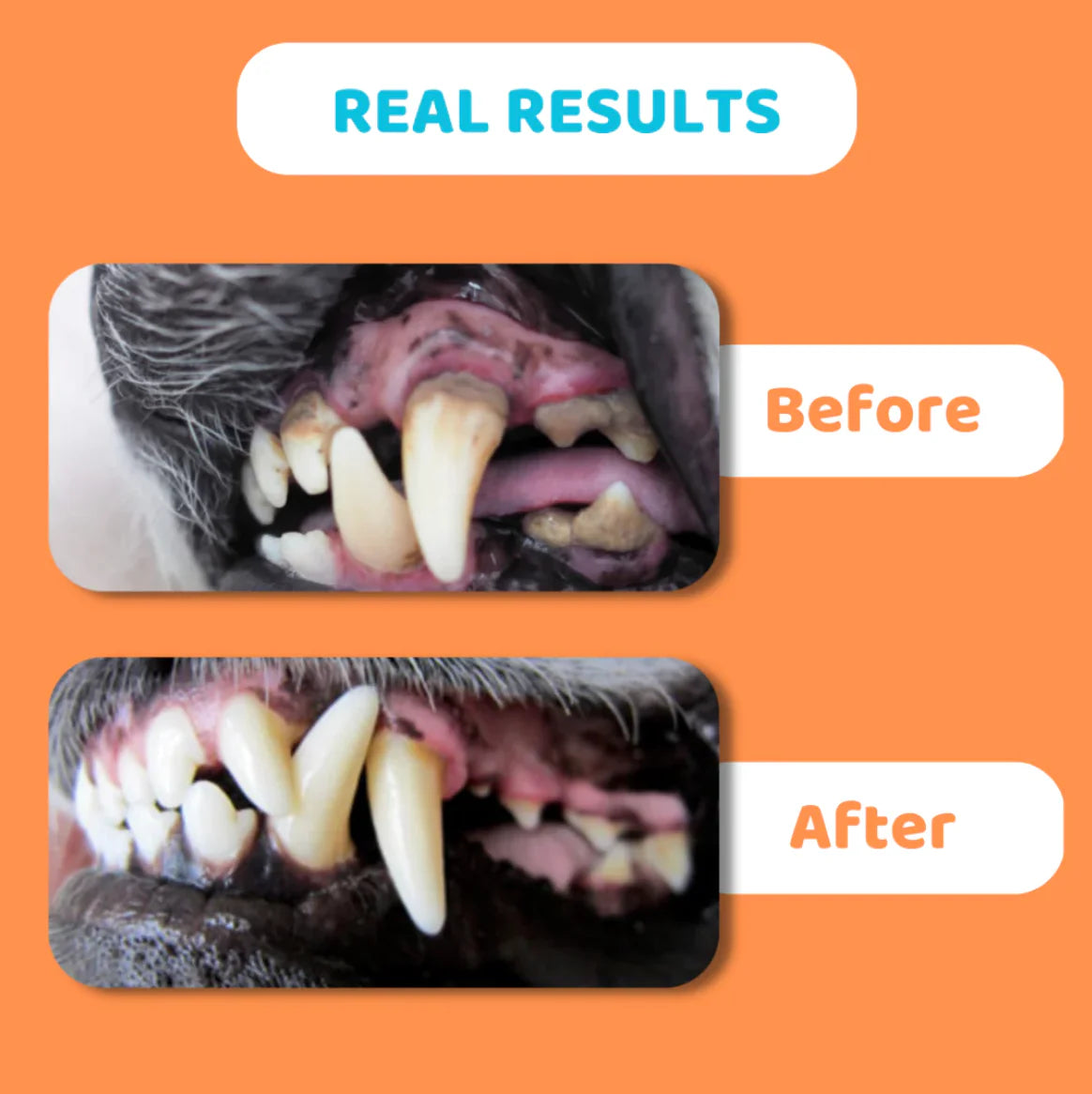 Dental Cleaning Wipes for Dogs