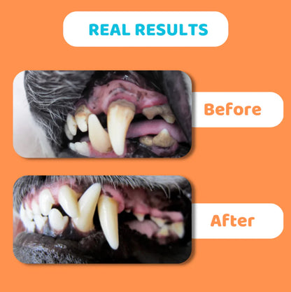 Dental Cleaning Wipes for Dogs