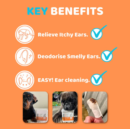 Dog Ear Wipes
