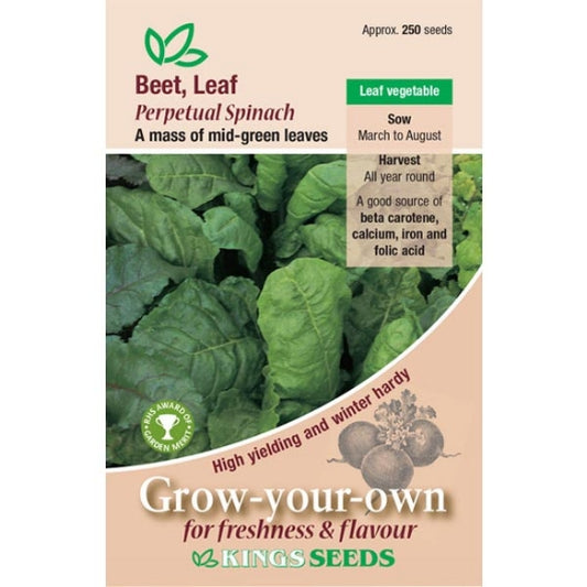 Kings Beet Leaf Perpetual Spinach  250 Seeds