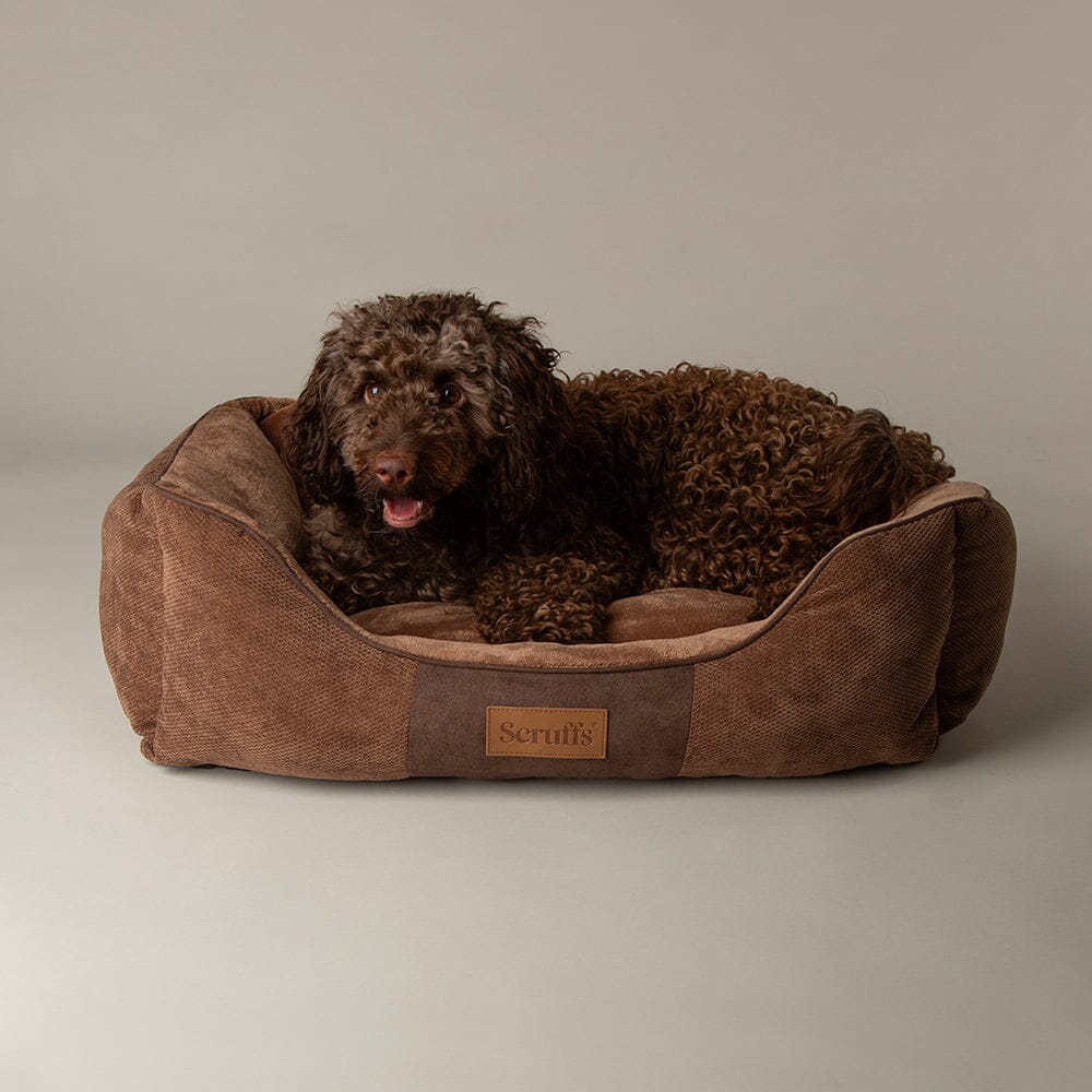 Luxury Chester Box Dog Bed by Scruffs - Graphite Grey Or Chocolate Brown
