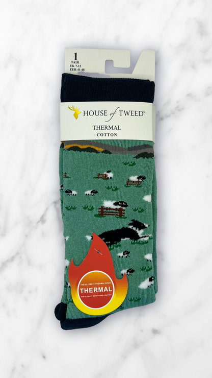 House Of Tweed Mens Thermal Cotton Socks-Winter Warm Outdoor Uk 7-12 (11 designs to choose from)